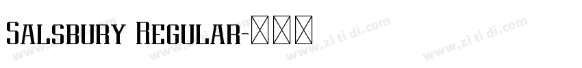 Salsbury Regular字体转换 Salsbury Regular字体转换